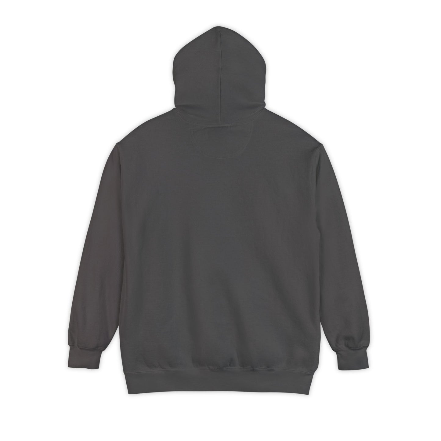 02882 Flashback Hoodie